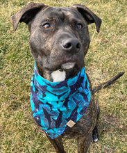 Load image into Gallery viewer, Celestial Sharks Pet Bandana