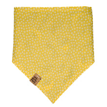 Load image into Gallery viewer, Blue Witches Pet Bandana