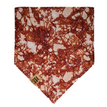 Load image into Gallery viewer, Pumpkin Donuts Pet Bandana