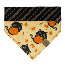 Load image into Gallery viewer, Pumpkin Cat Pet Bandana