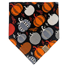 Load image into Gallery viewer, Abstract Pumpkin Pet Bandana