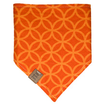 Load image into Gallery viewer, Skeletal Animals Pet Bandana