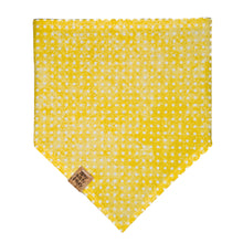 Load image into Gallery viewer, Black Bumblebees and Ladybugs Pet Bandana