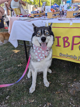 Load image into Gallery viewer, Little Pink Glow Ghosts Pet Bandana - GLOW IN THE DARK