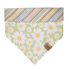 Load image into Gallery viewer, Green Daisies Pet Bandana