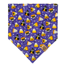 Load image into Gallery viewer, Candy Corn Costume Party Pet Bandana