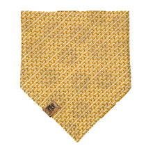Load image into Gallery viewer, Enchanted Pumpkin Pet Bandana