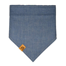 Load image into Gallery viewer, Psychedelic Mushroom Pet Bandana