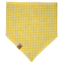 Load image into Gallery viewer, Blue Witches Pet Bandana