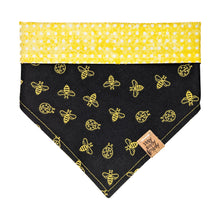 Load image into Gallery viewer, Black Bumblebees and Ladybugs Pet Bandana