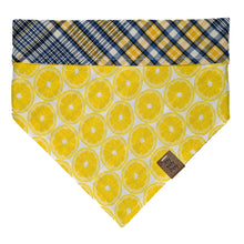 Load image into Gallery viewer, Lemon Squeeze Pet Bandana