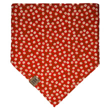 Load image into Gallery viewer, Rainbow Goldfish Pet Bandana