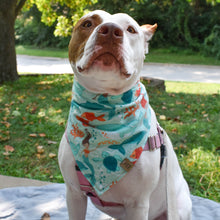 Load image into Gallery viewer, Under the Sea Pet Bandana