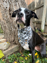 Load image into Gallery viewer, Spooky Season Pet Bandana