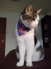 Load image into Gallery viewer, Halloween Cats Pet Bandana