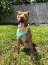 Load image into Gallery viewer, Lemonade Pet Bandana