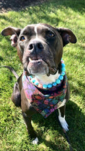 Load image into Gallery viewer, Day of the Dead Pet Bandana