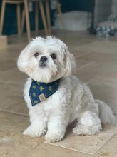 Load image into Gallery viewer, Blue Bumblebees and Ladybugs Pet Bandana