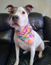 Load image into Gallery viewer, Pastel Butterflies Pet Bandana