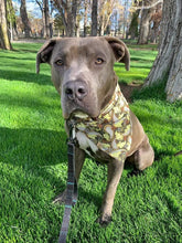 Load image into Gallery viewer, Blue Bumblebees and Ladybugs Pet Bandana