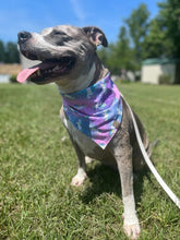 Load image into Gallery viewer, Magical Moments Pet Bandana