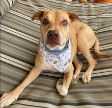 Load image into Gallery viewer, Down Under Pet Bandana
