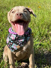 Load image into Gallery viewer, Owl Always Love You Pet Bandana