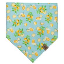 Load image into Gallery viewer, Lemonade Pet Bandana