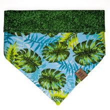 Load image into Gallery viewer, Palm Tree Pet Bandana