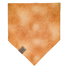 Load image into Gallery viewer, Final Frontier Pet Bandana