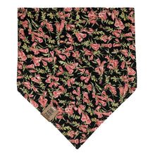 Load image into Gallery viewer, Meow Pet Bandana