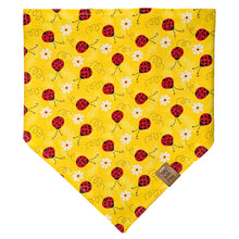 Load image into Gallery viewer, Little Ladybug Waltz Pet Bandana