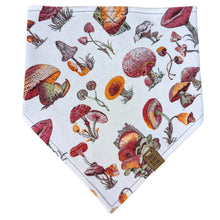 Load image into Gallery viewer, Toadstool Tales Pet Bandana
