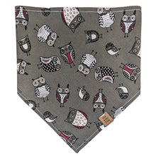 Load image into Gallery viewer, Hoo Hoollaween Pet Bandana