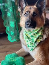 Load image into Gallery viewer, Saint Pawtrick Pet Bandana
