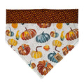 Gourds Galore Pet Bandana