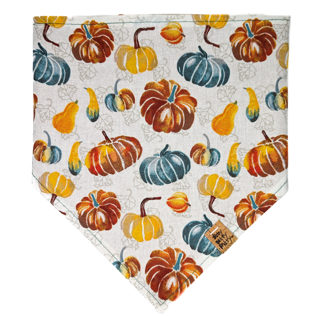Gourds Galore Pet Bandana