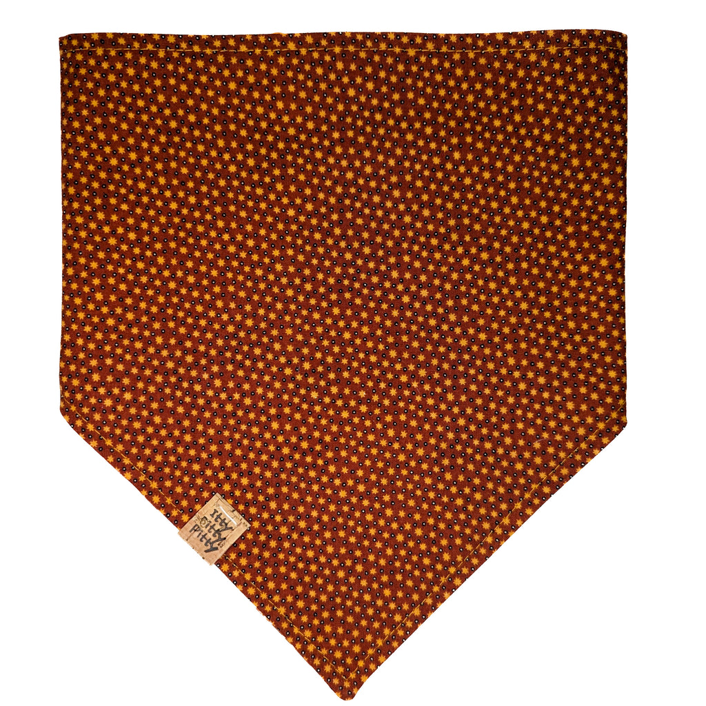 Gourds Galore Pet Bandana