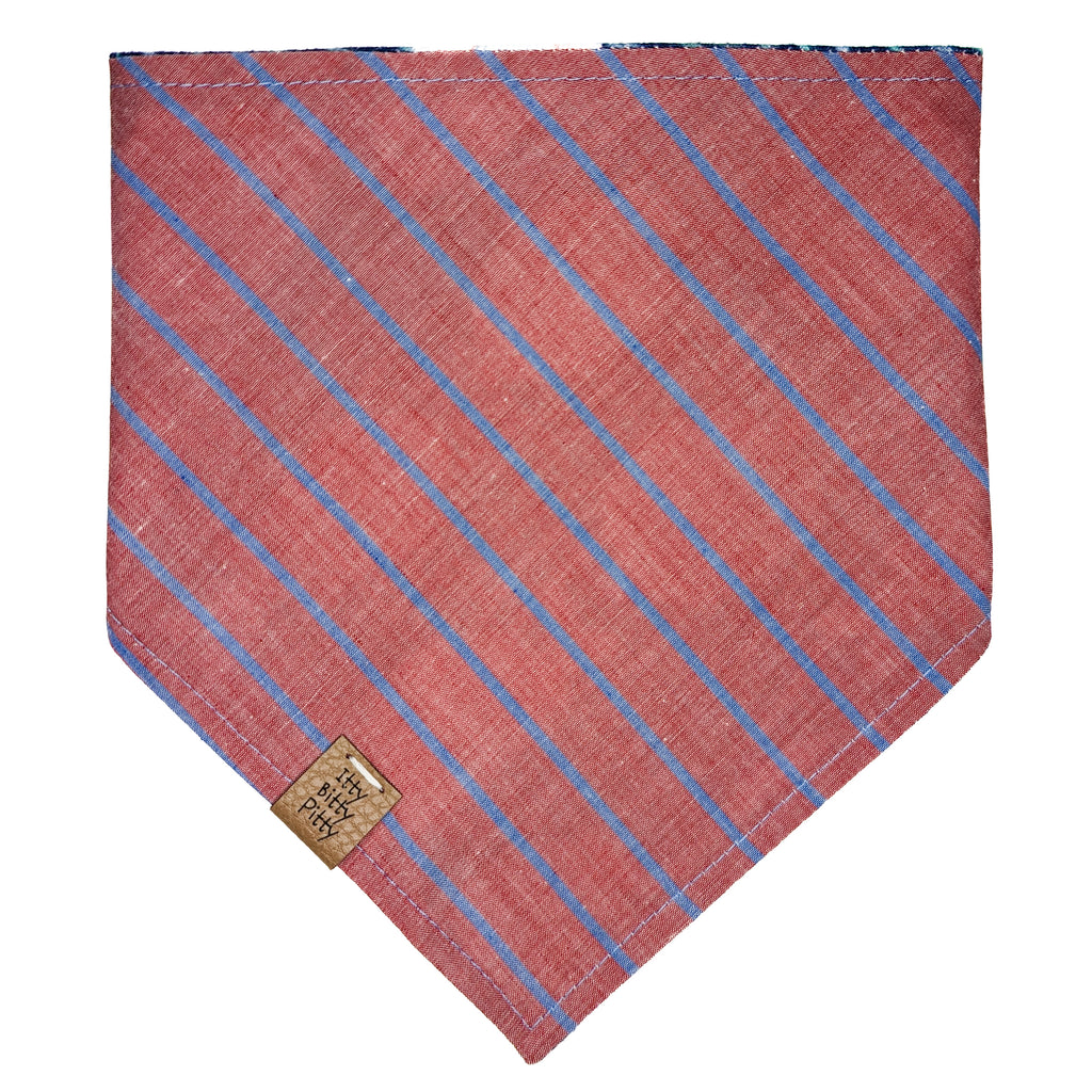 Just Keep Swimming Pet Bandana