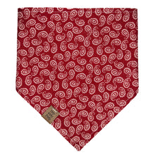Load image into Gallery viewer, Star Spangled Pet Bandana
