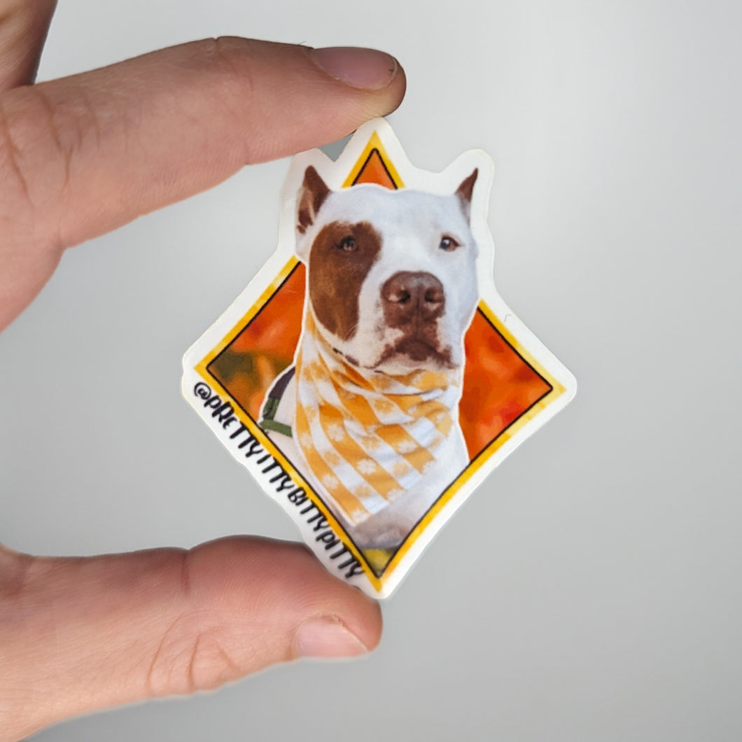 Gracie ORANGE Sticker