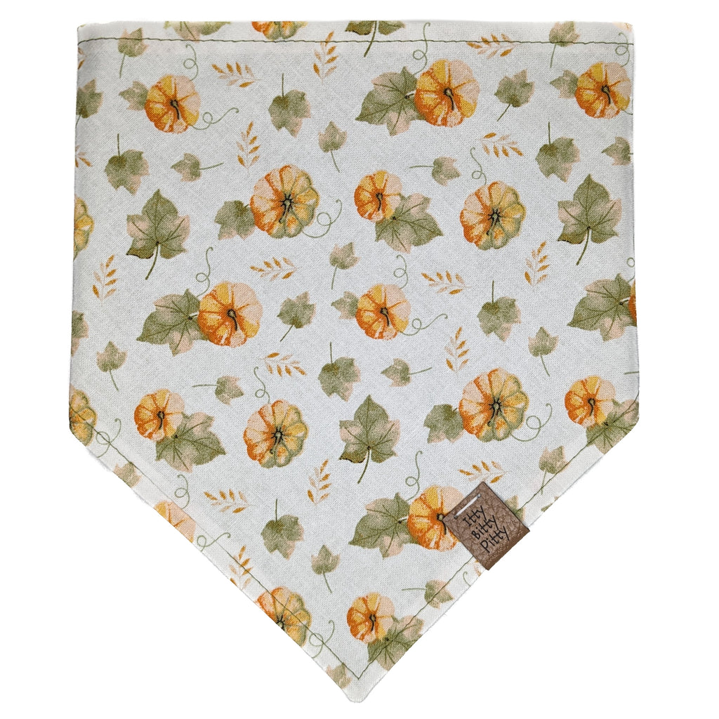 Autumn Pumpkins Pet Bandana
