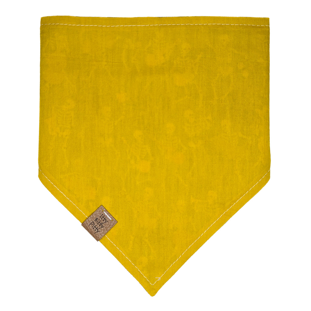 Skeletal Band Pet Bandana