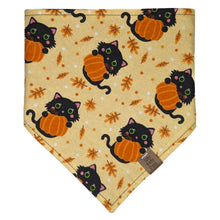 Load image into Gallery viewer, Pumpkin Cat Pet Bandana
