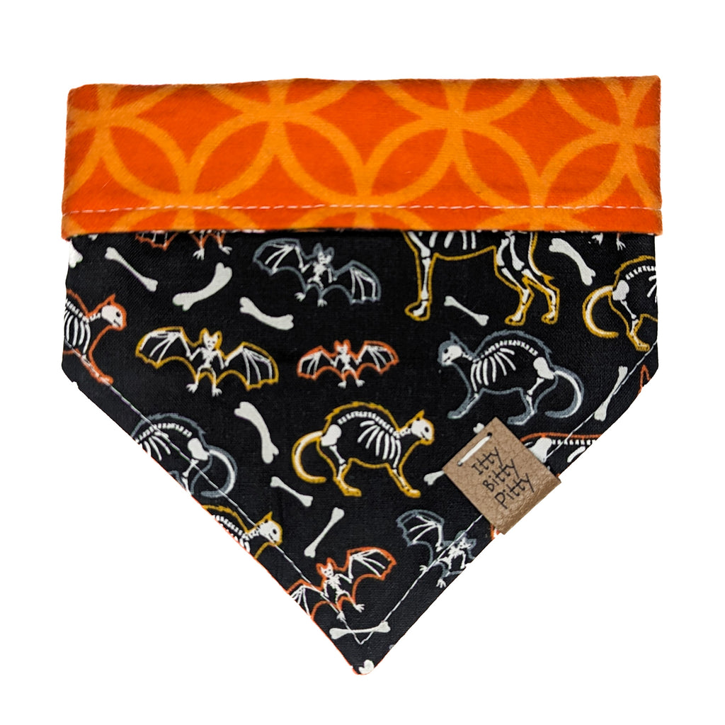 Skeletal Animals Pet Bandana