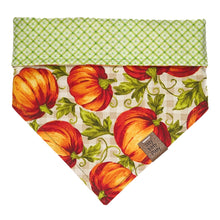 Load image into Gallery viewer, Pumpkin Patch Pet Bandana
