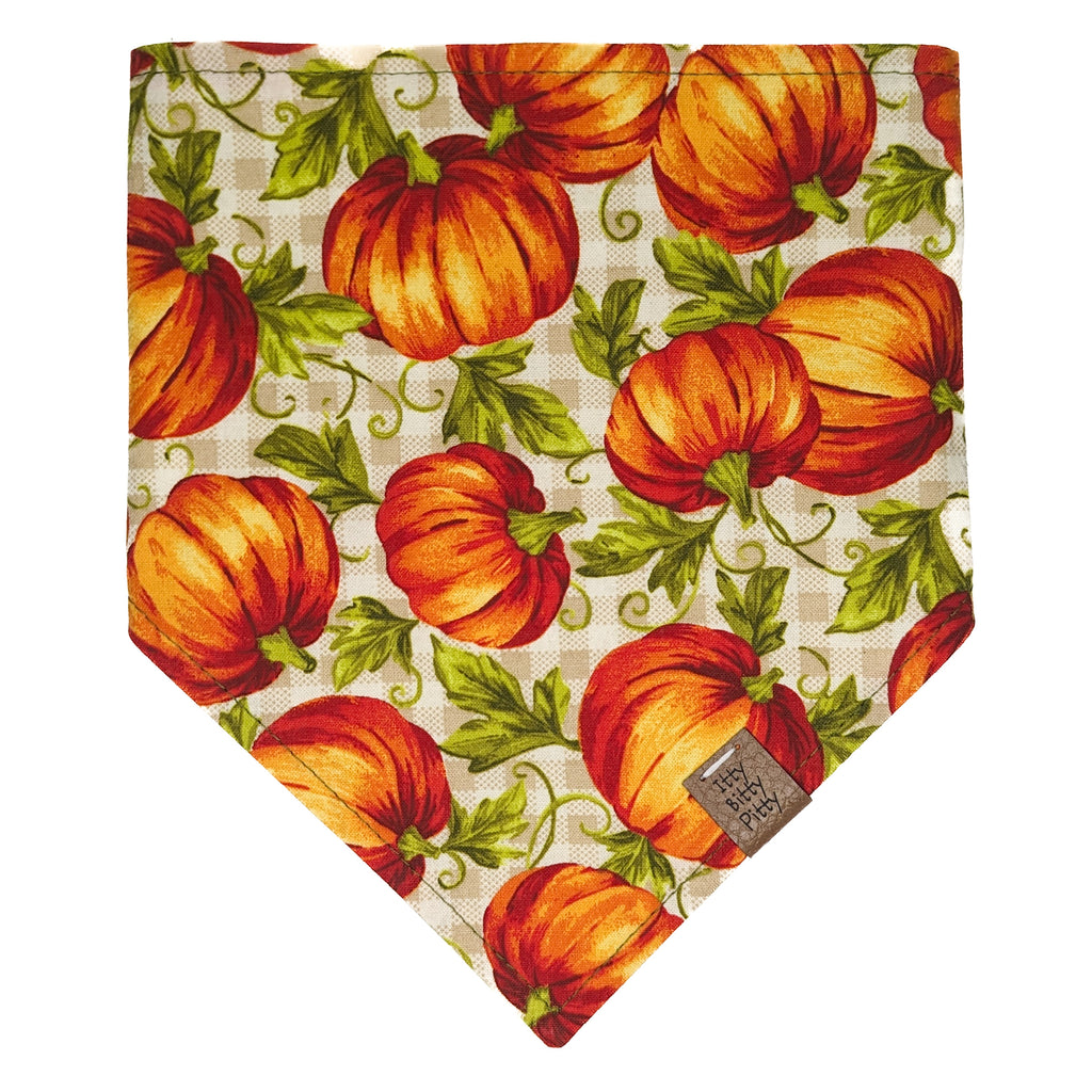 Pumpkin Patch Pet Bandana