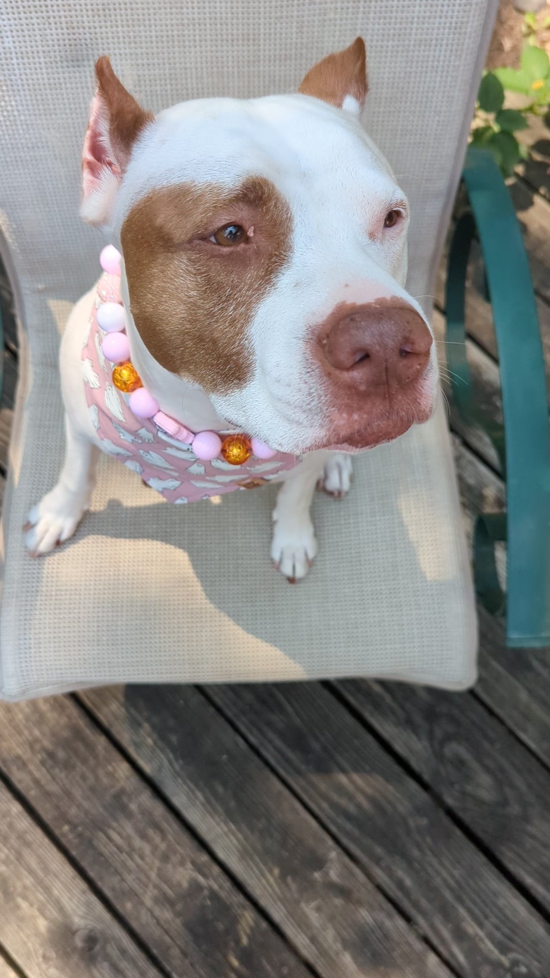 Pink Ghost Halloween Beaded Pet Collar