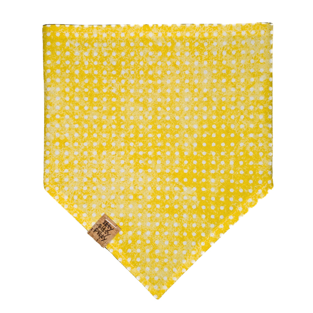 Black Bumblebees and Ladybugs Pet Bandana