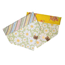 Load image into Gallery viewer, Green Daisies Pet Bandana
